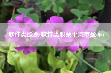 软件类股票(软件类股票平均市盈率)