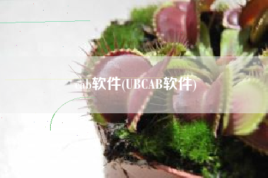 cab软件(UBCAB软件)