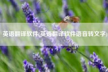 英语翻译软件(英语翻译软件语音转文字)