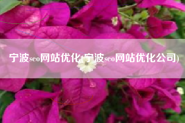 宁波seo网站优化(宁波seo网站优化公司)