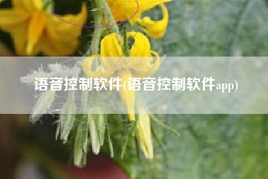 语音控制软件(语音控制软件app)