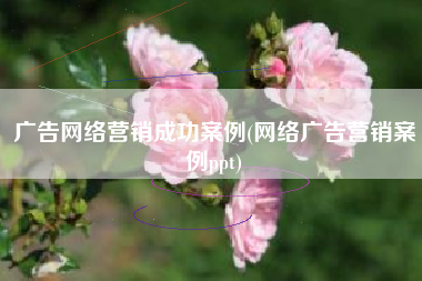 广告网络营销成功案例(网络广告营销案例ppt)