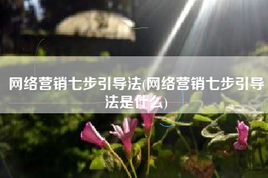 网络营销七步引导法(网络营销七步引导法是什么)
