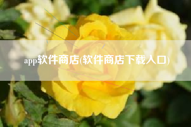 app软件商店(软件商店下载入口)