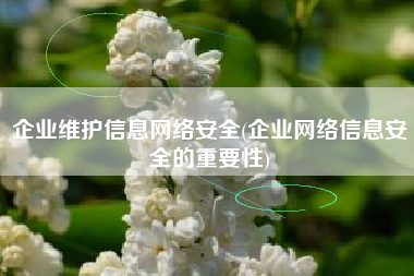 企业维护信息网络安全(企业网络信息安全的重要性)