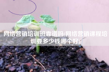 网络营销培训班靠谱吗(网络营销课程培训要多少钱哪个好)