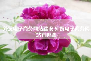 外贸电子商务网站建设 外贸电子商务网站有哪些