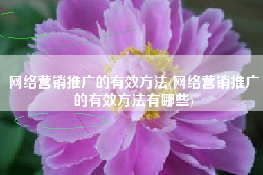 网络营销推广的有效方法(网络营销推广的有效方法有哪些)