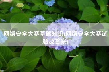 网络安全大赛基础知识(网络安全大赛试题及答案)