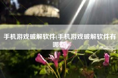 手机游戏破解软件(手机游戏破解软件有哪些)