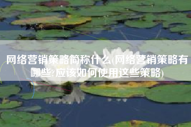 网络营销策略简称什么(网络营销策略有哪些?应该如何使用这些策略)