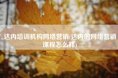 达内培训机构网络营销(达内的网络营销课程怎么样)