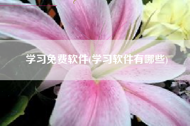学习免费软件(学习软件有哪些)