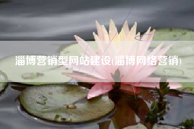 淄博营销型网站建设(淄博网络营销)