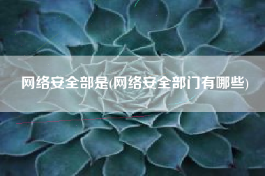 网络安全部是(网络安全部门有哪些)