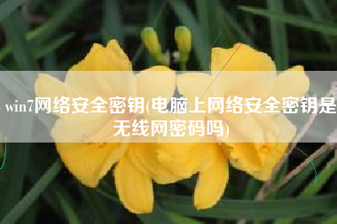 win7网络安全密钥(电脑上网络安全密钥是无线网密码吗)