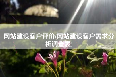 网站建设客户评价(网站建设客户需求分析调查表)