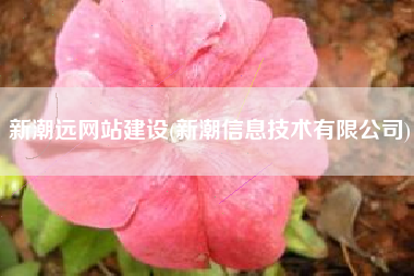 新潮远网站建设(新潮信息技术有限公司)