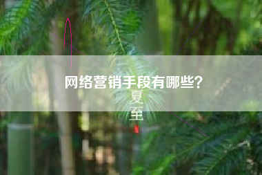 网络营销手段有哪些？