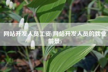 网站开发人员工资(网站开发人员的就业前景)