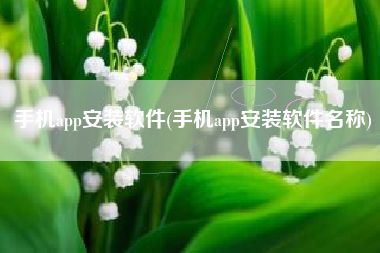 手机app安装软件(手机app安装软件名称)