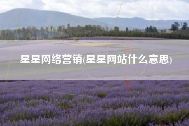 星星网络营销(星星网站什么意思)