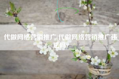 代做网络营销推广(代做网络营销推广违法吗)