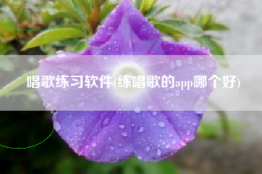 唱歌练习软件(练唱歌的app哪个好)