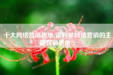 十大网络营销思维(请列举网络营销的主要营销思维?)