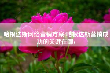 哈根达斯网络营销方案(哈根达斯营销成功的关键在哪)