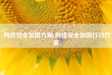 网络安全加固方案(网络安全加固行动方案)