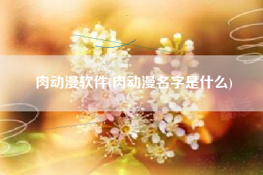 肉动漫软件(肉动漫名字是什么)