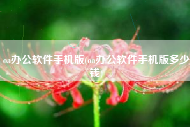 oa办公软件手机版(oa办公软件手机版多少钱)