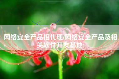 网络安全产品招代理(网络安全产品及相关软件开发基地)