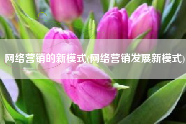 网络营销的新模式(网络营销发展新模式)