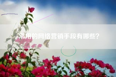 常用的网络营销手段有哪些？