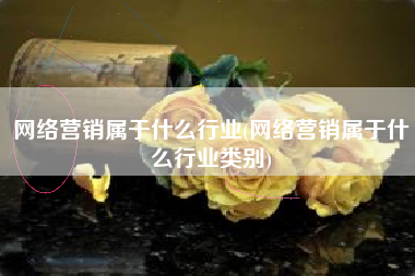 网络营销属于什么行业(网络营销属于什么行业类别)