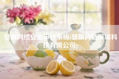 慧眼网络安全审计系统(慧眼网链深圳科技有限公司)