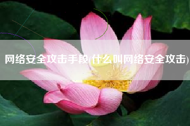 网络安全攻击手段(什么叫网络安全攻击)