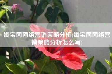 淘宝网网络营销策略分析(淘宝网网络营销策略分析怎么写)