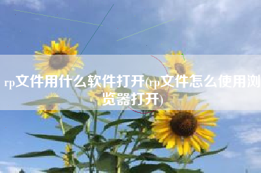rp文件用什么软件打开(rp文件怎么使用浏览器打开)