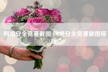 网络安全竞赛截图(网络安全竞赛截图模板)
