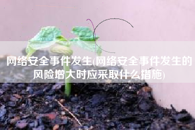 网络安全事件发生(网络安全事件发生的风险增大时应采取什么措施)