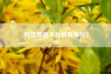 网络营销平台都有哪些？