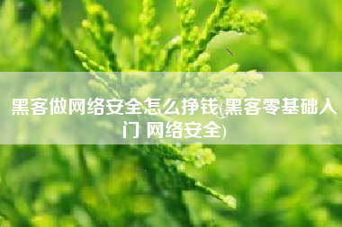 黑客做网络安全怎么挣钱(黑客零基础入门 网络安全)