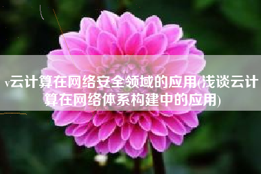 v云计算在网络安全领域的应用(浅谈云计算在网络体系构建中的应用)