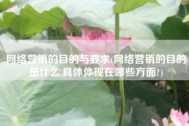 网络营销的目的与要求(网络营销的目的是什么,具体体现在哪些方面?)