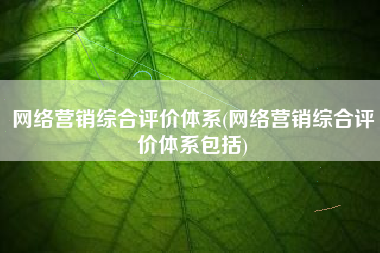 网络营销综合评价体系(网络营销综合评价体系包括)