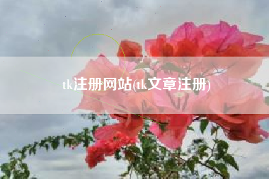 tk注册网站(tk文章注册)