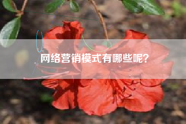 网络营销模式有哪些呢？